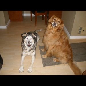 Meet your Posher, Alexis